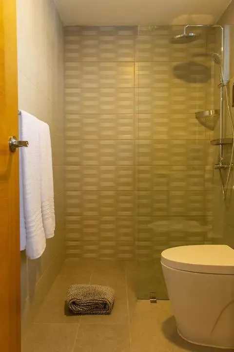 Luxury Condo Santo Domingo Piantini